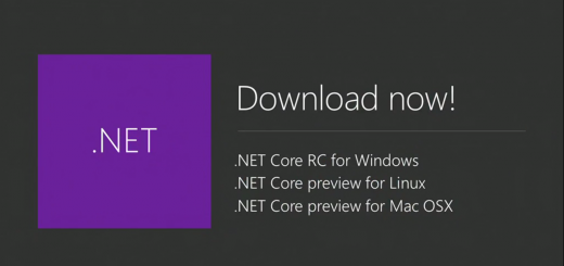 ms .net preview