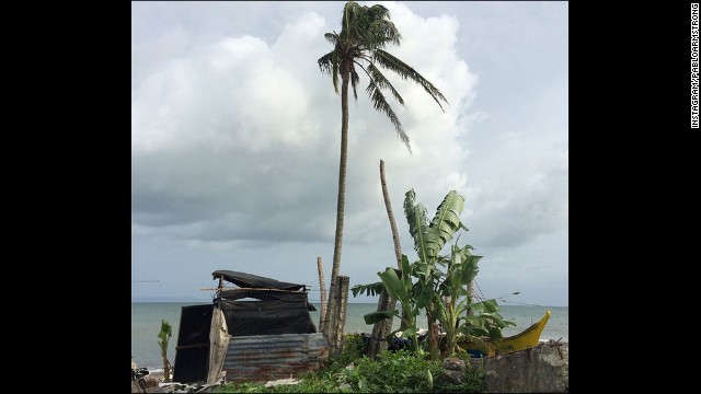 A lone tree in one of the areas of Tacloban hardest hit by Haiyan last year.