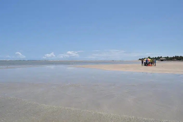 praias de pernambuco brasil pontal