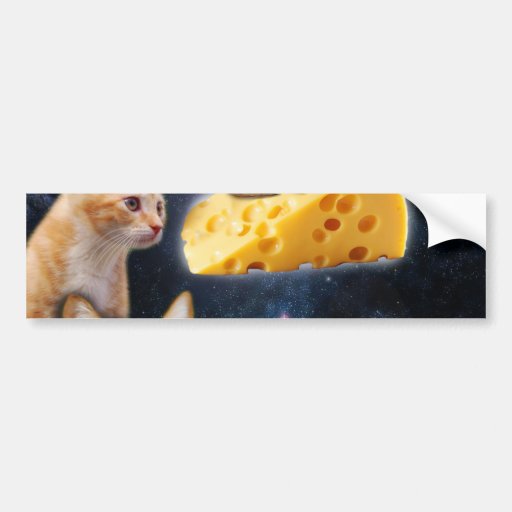 Cats and the mouse on the cheese bumper sticker