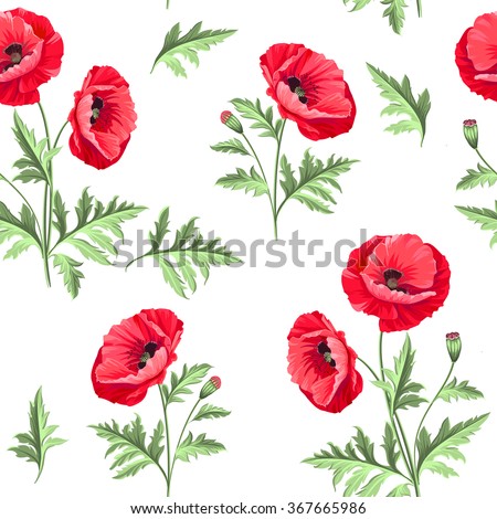 Pattern of poppy flowers on a white background. Vector illustration.