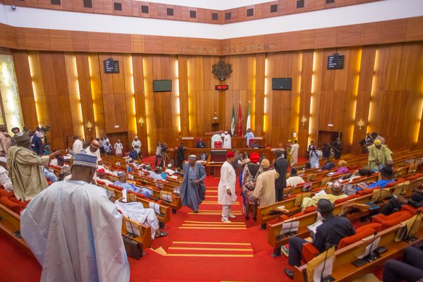 Osifo Exposes Senators Frustrating Nigeria Progress, Says Buhari Will Succeed