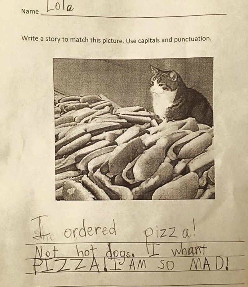 funny school image cat pizza hotdog story