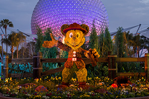 Mickey Mouse Topiary at the Epcot Flower and Garden Festival at Walt Disney World Resort