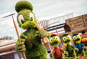 Donald, Huey, Dewey and Louie Topiaries at the Epcot Flower and Garden Festival at Walt Disney World Resort