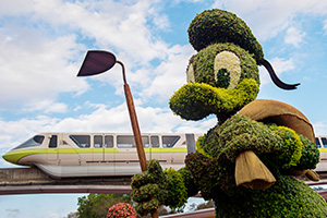 Donald Duck Topiary at the Epcot Flower and Garden Festival at Walt Disney World Resort