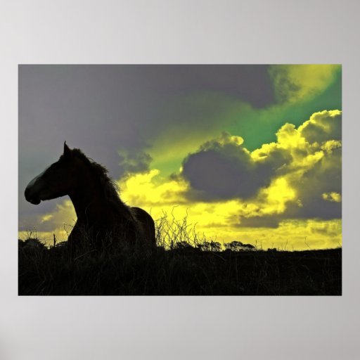 Horse with the sunset, Paper poster (chechmate)