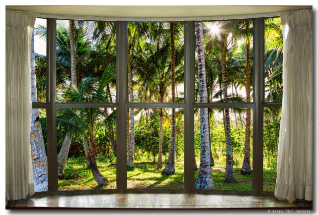Tropical Jungle Reflections Bay Window View