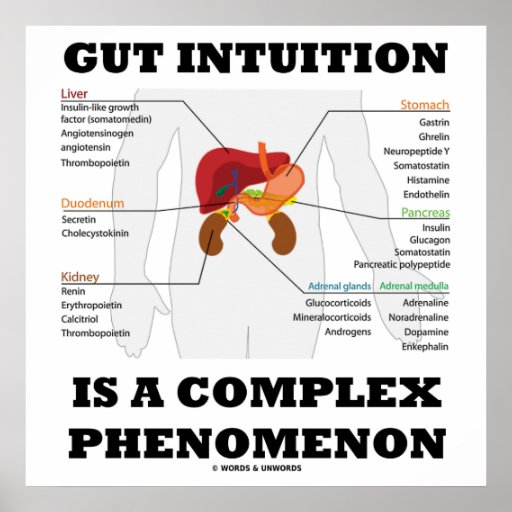 Gut Intuition Is A Complex Phenomenon Endocrine Poster