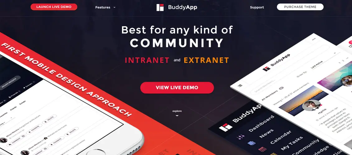 BuddyApp---Mobile-First-Community-WordPress-theme