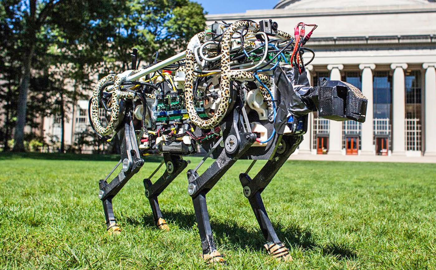 Six robots inspired by real-life animals
