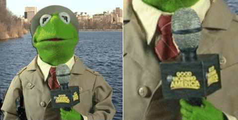 kermit the frog,twitter,list,Good Morning America,Memes,tea,lizard
