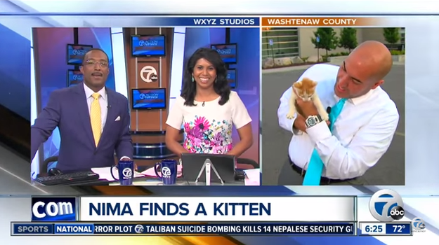 Meet Lucky Seven, a 6-week-old kitten who recently stole the show and all of our hearts during a live newscast in Detroit.