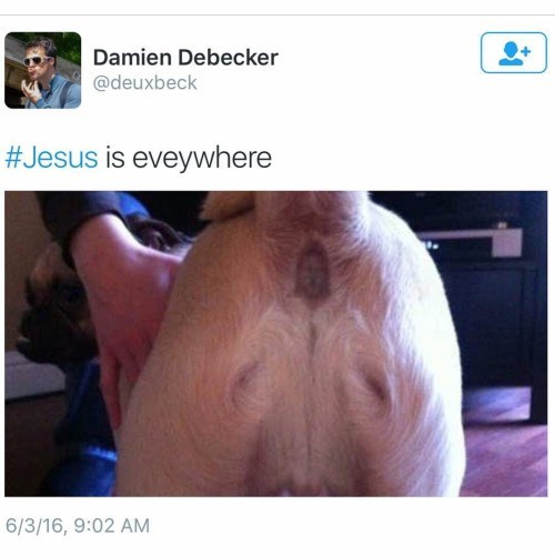 butt,dogs,jesus,twitter