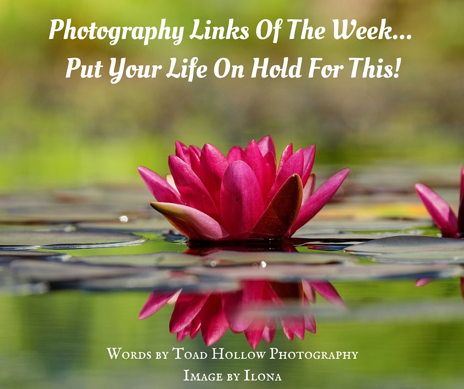 Photography Links Of This Week - Put Your Life On Hold