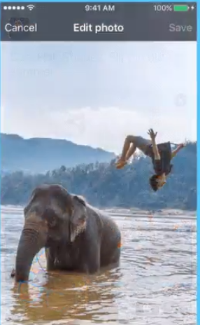 Ok check this out. Just a boring fucking pic of a guy doing a backflip off an elephant.