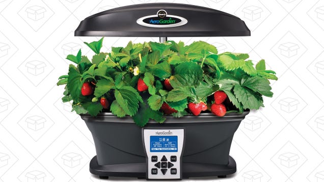 Anyone Can Grow Their Own Food With This Discounted Miracle-Gro AeroGarden