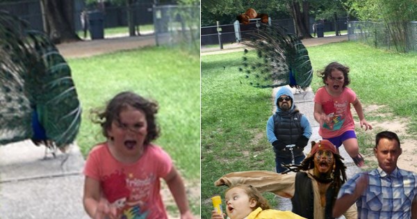 petting zoo,list,kids,chase,photoshop,parenting,photoshop battle,peacock