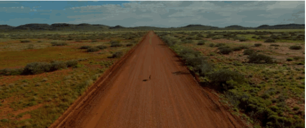 The film, set in the Pilbara, takes a look at the early years of the famous wandering Kelpie.