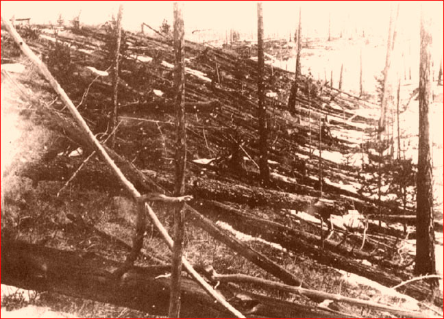 Fallen trees at Tunguska. This image is from 1927, when Russian scientists were finally able to get to the scene. Photograph from the Soviet Academy of Science 1927 expedition led by Leonid Kulik.