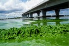 What's behind Florida's algae bloom? Satellite photos reveal clues.