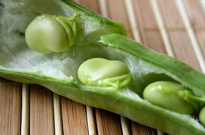 الفول الأخضر اكلة خفيفة تساعد في حرق الدهون سريعا