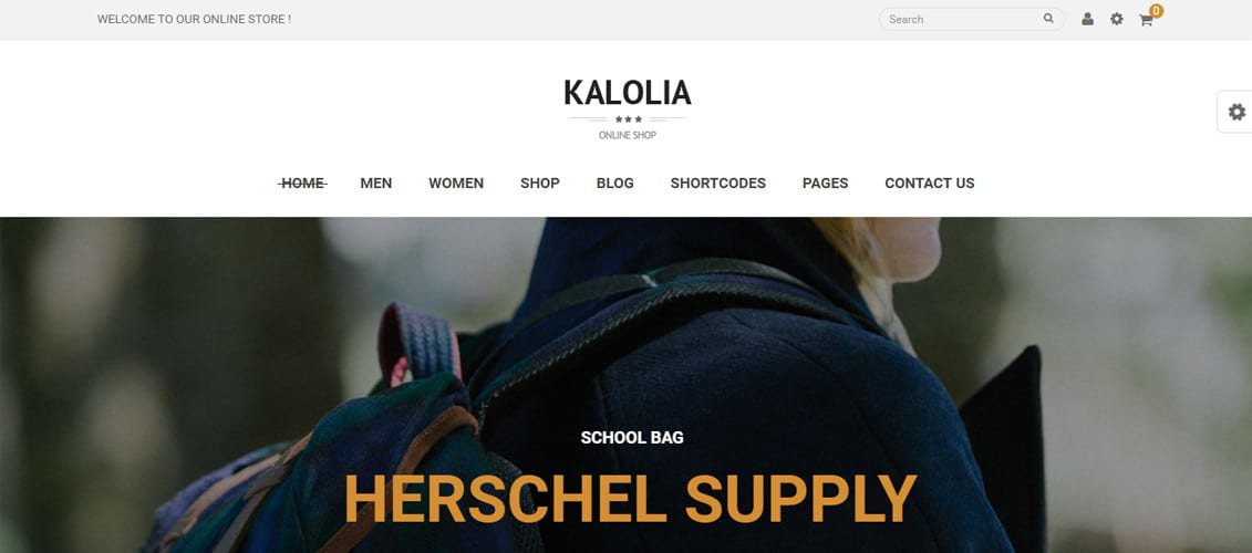 SNS-Kalolia---Shop-WordPress-WooCommerce-Theme
