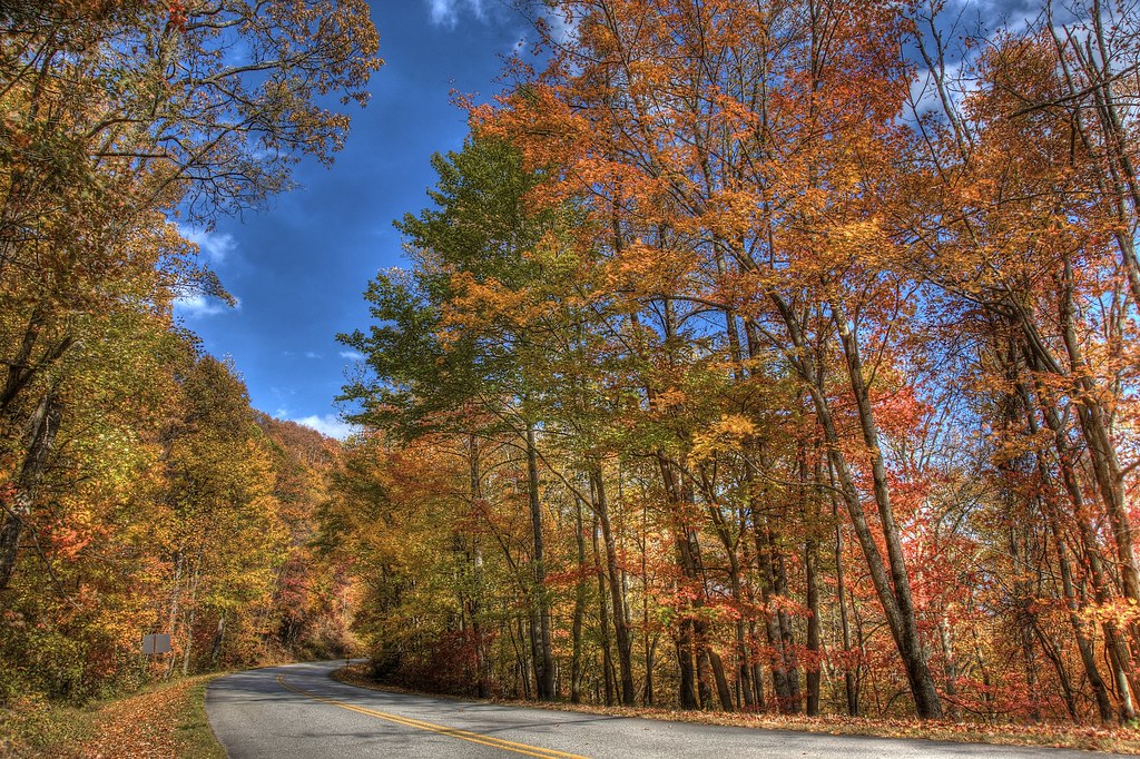 Fall on the Blue Ridge Parkway
