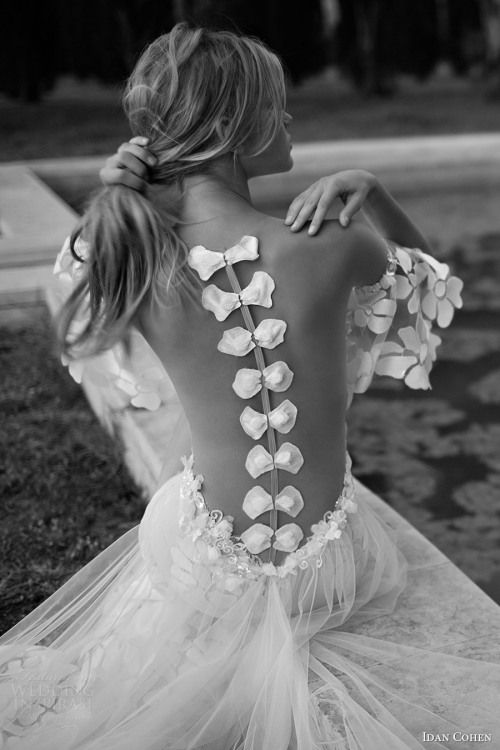 (via Idan Cohen Wedding Dresses — 2017 Bridal Pre-Collection |...