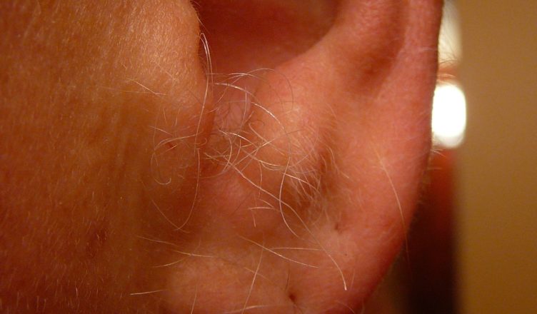 نمو الشعر في الأذن
