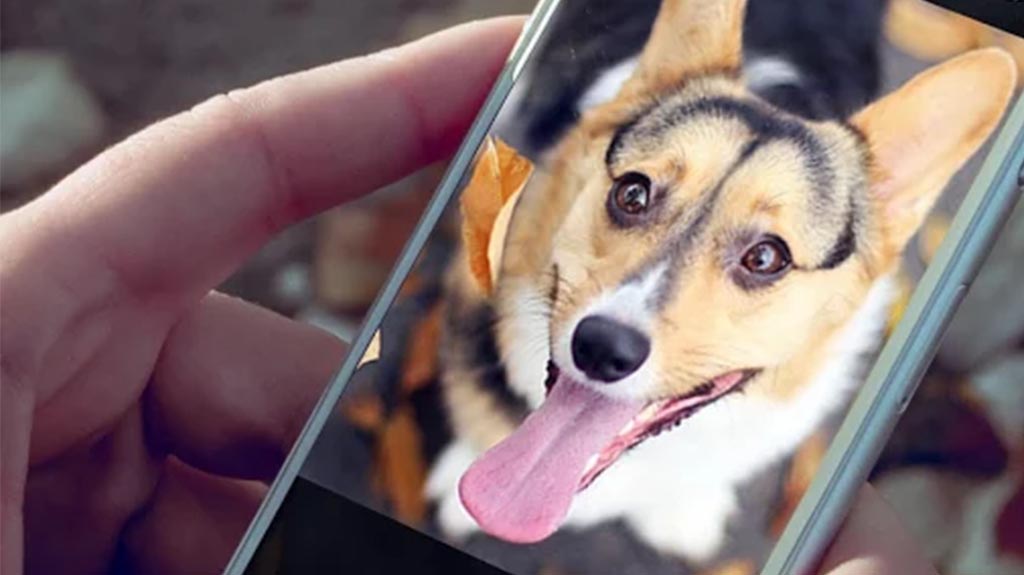 best dog apps for android