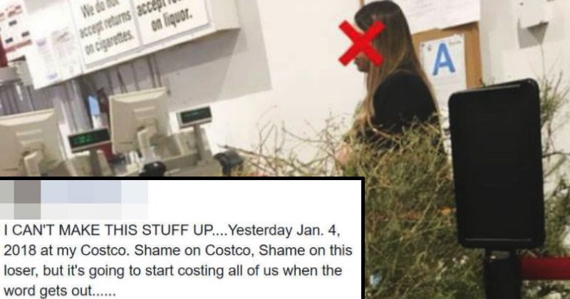 Woman tries to return a Christmas tree in January for a refund.
