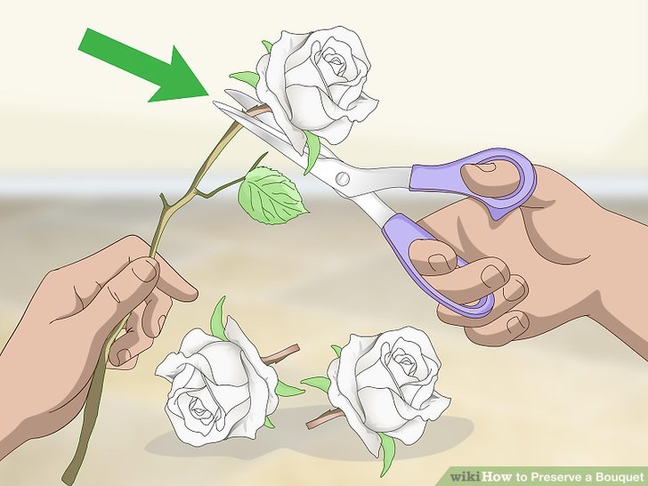 Preserve a Bouquet Step 16.jpg