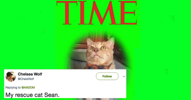 People are sharing their own versions of Time Person of The Year and the results are gold.