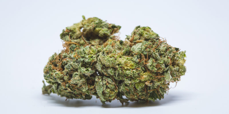 Toronto Dispensary Death Star 151 800x400 The Rarest—And Most Incredible—Strains of 2017