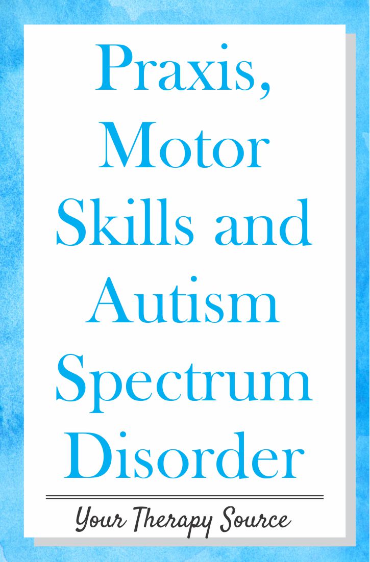 Praxis, Motor Skills, and Autism