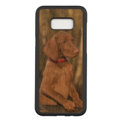 Beautiful Vizsla Sporting Dog Carved Samsung Galaxy S8+ Case