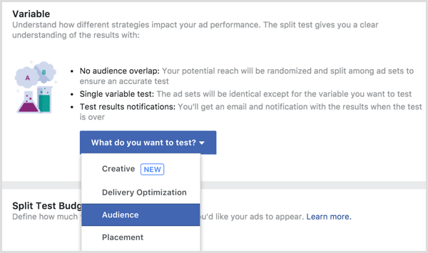 Facebook ad split test variable