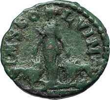 GORDIAN III 242AD Viminacium BULL & LION LEGIONS Ancient Roman Coin i66145
