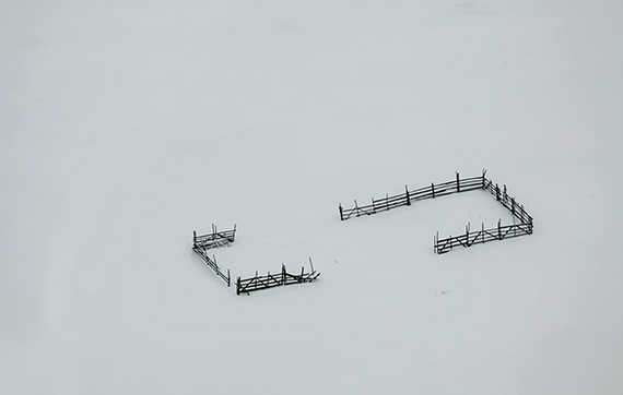winter photography minimalism