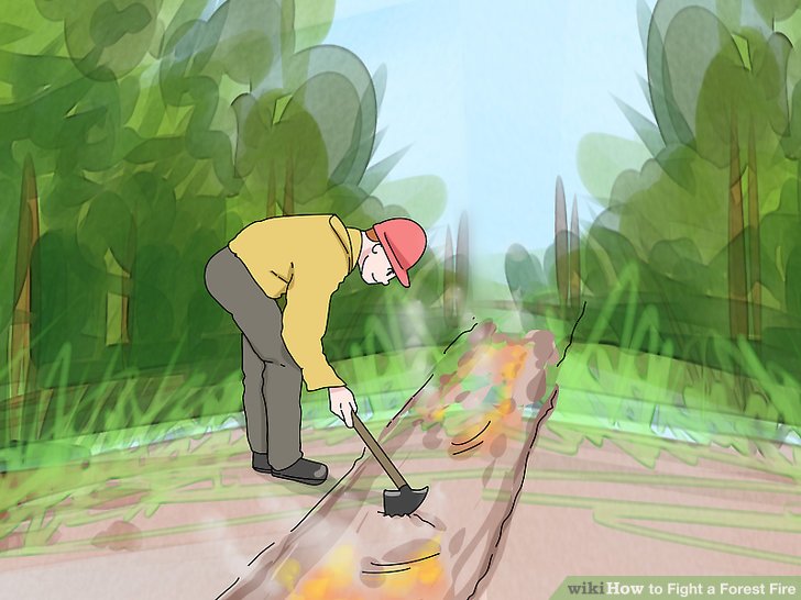 Fight a Forest Fire Step 7 Version 2.jpg