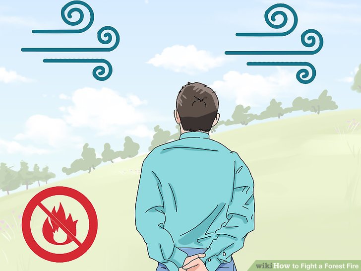 Fight a Forest Fire Step 13.jpg