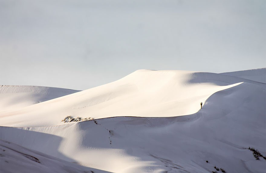 rare-snow-sahara-desert-third-time-karim-bouchetata-19