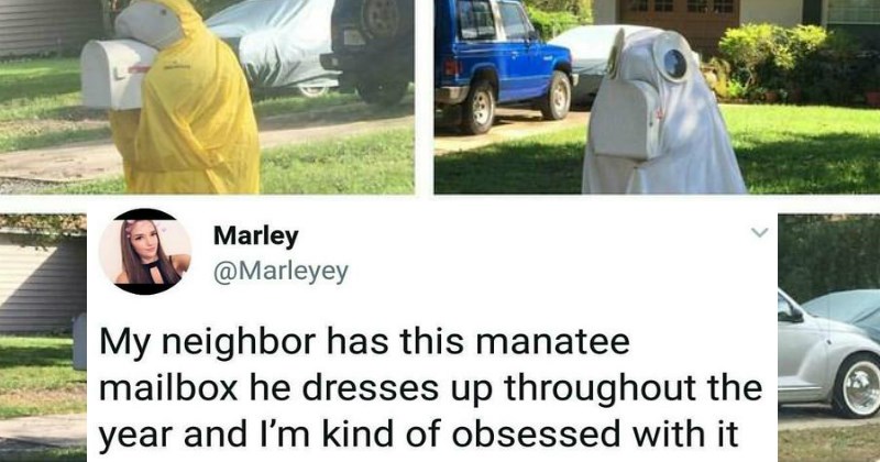 The Internet is In Love With This Adorable Manatee Mailbox