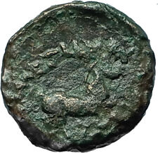 ALEXANDER III the GREAT Lifetime 336BC Ancient Greek Coin APOLLO & HORSE i66576
