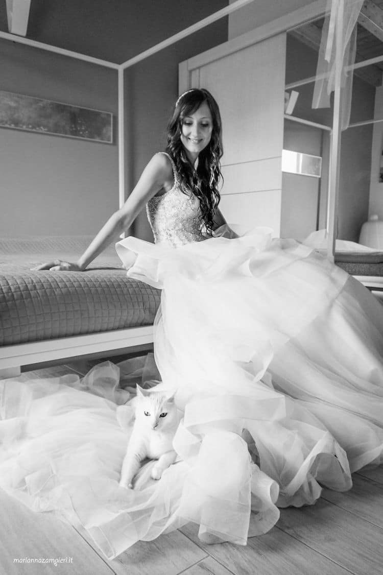 Cats in Wedding Photoshoot Ideas by Marianna Zampieri