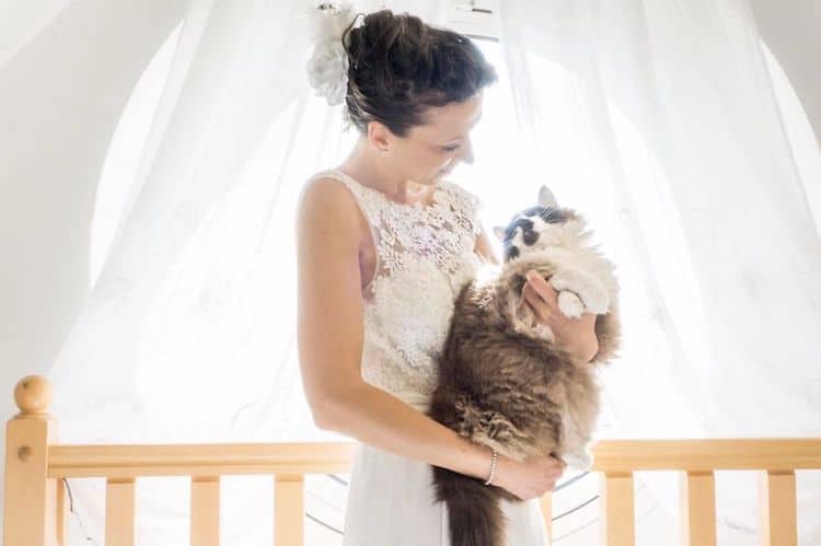 Wedding Photo Ideas by Cats in Wedding Photoshoot Ideas by Marianna Zampieri