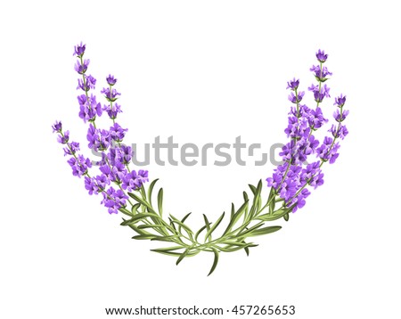 Bunch of lavender flowers on a white background.
