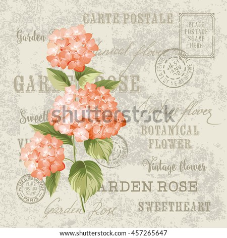 Red flowers design for invtation card template. Vintage postcard background template for wedding invitation. Label with hortensia flowers.