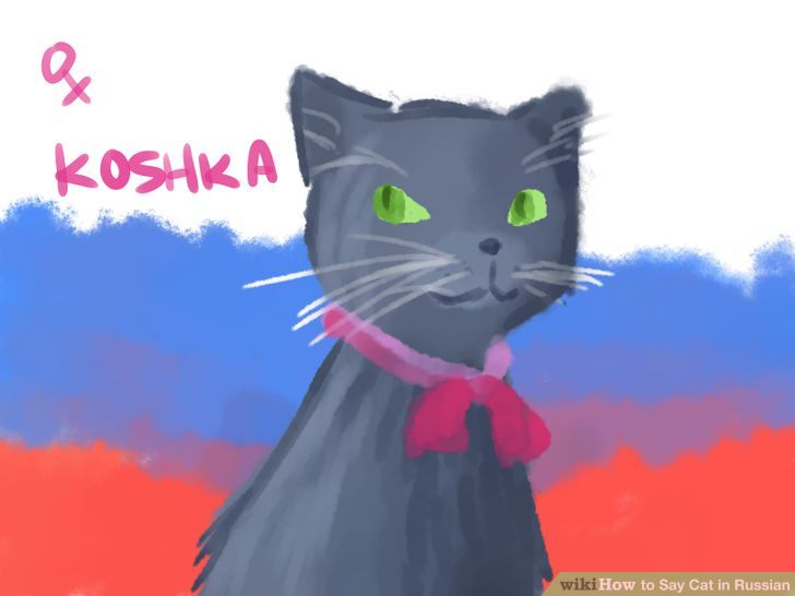Say Cat in Russian Step 1 Version 2.jpg
